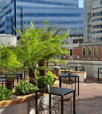 Indoor & outdoor plants for hotels and restaurants