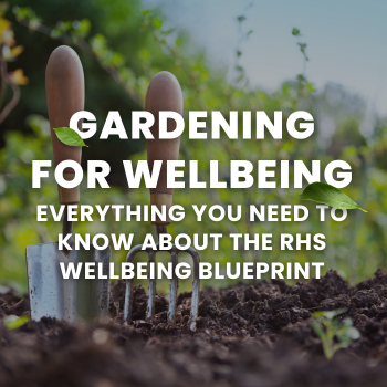 Gardening for Wellbeing: Everything You Need to Know About the RHS Wellbeing Blueprint