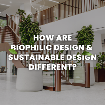 How are Biophilic Design and Sustainable Design Different?