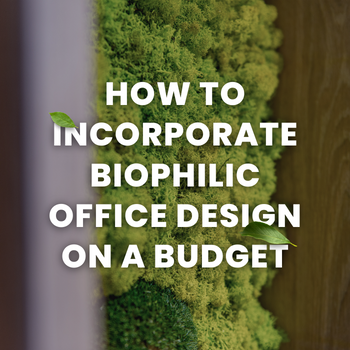 How to Incorporate Biophilic Office Design on a Budget