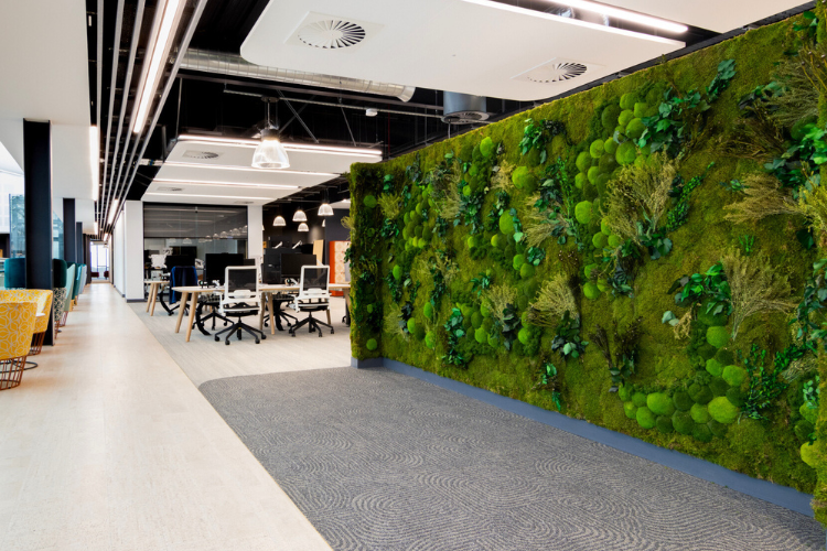 Green Walls In The Workplace & Their Benefits