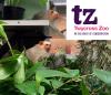 Supporting Twycross Zoo