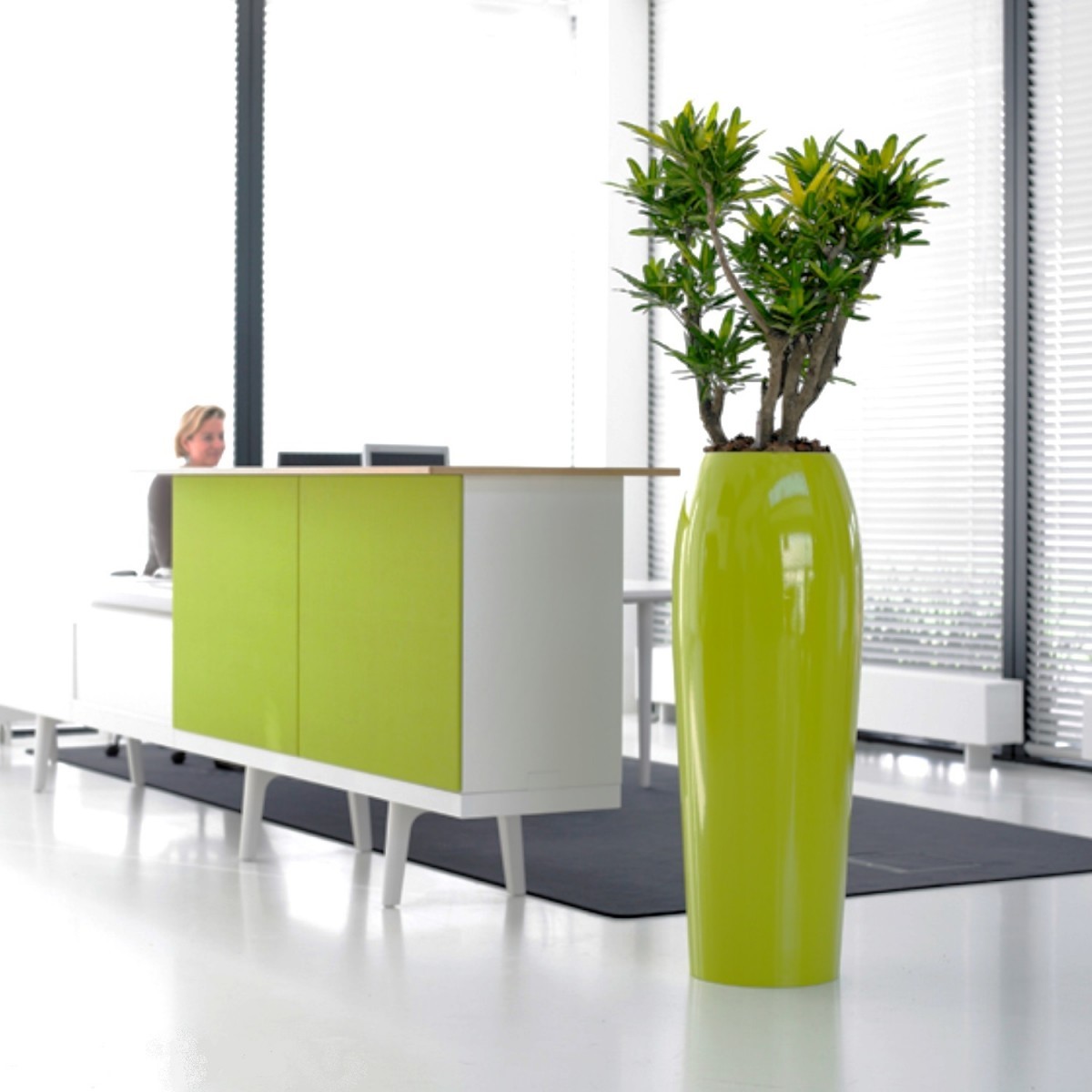 How Plants Can Help Boost Open Plan Working