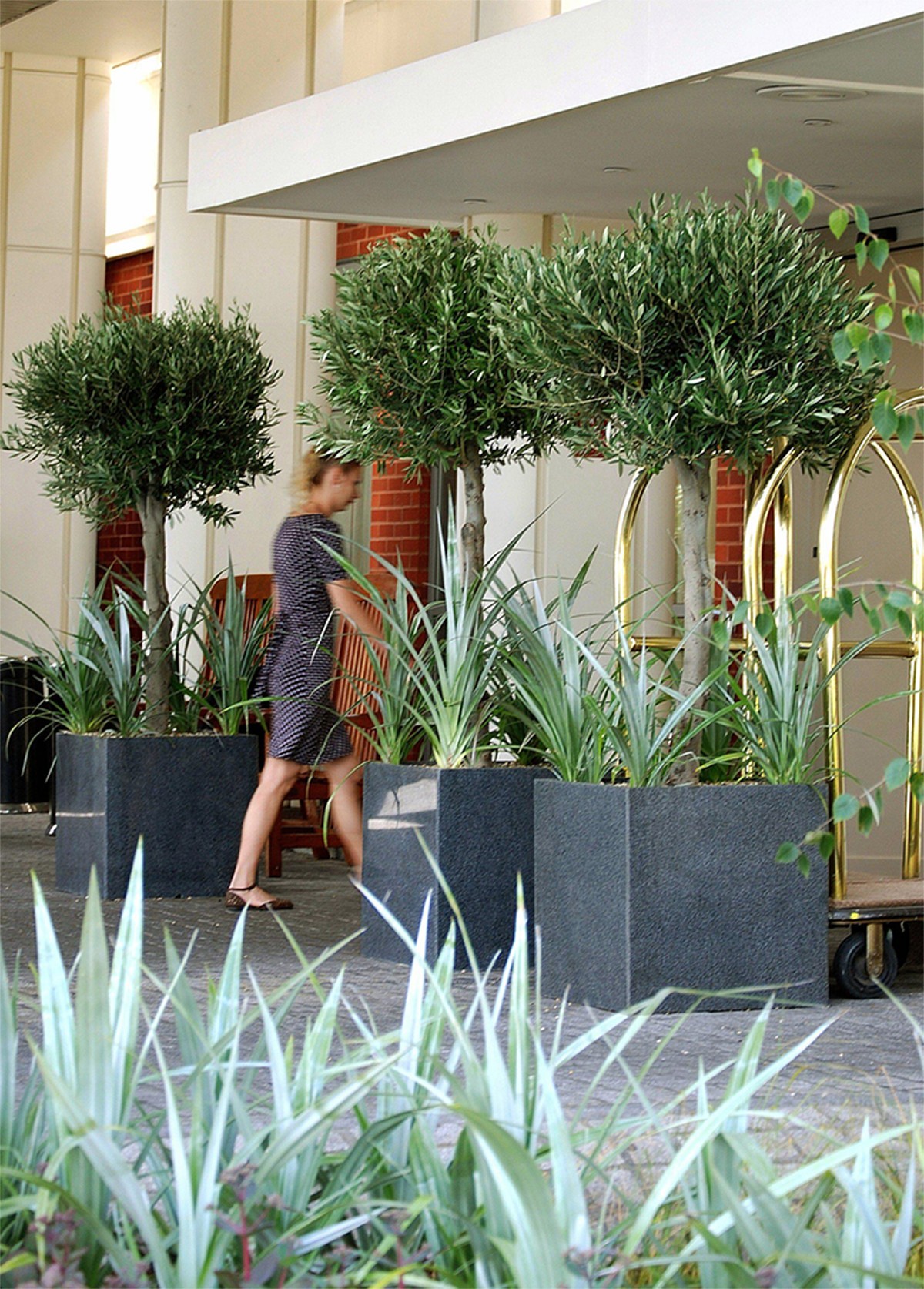 New fully recyclable range of planters launched