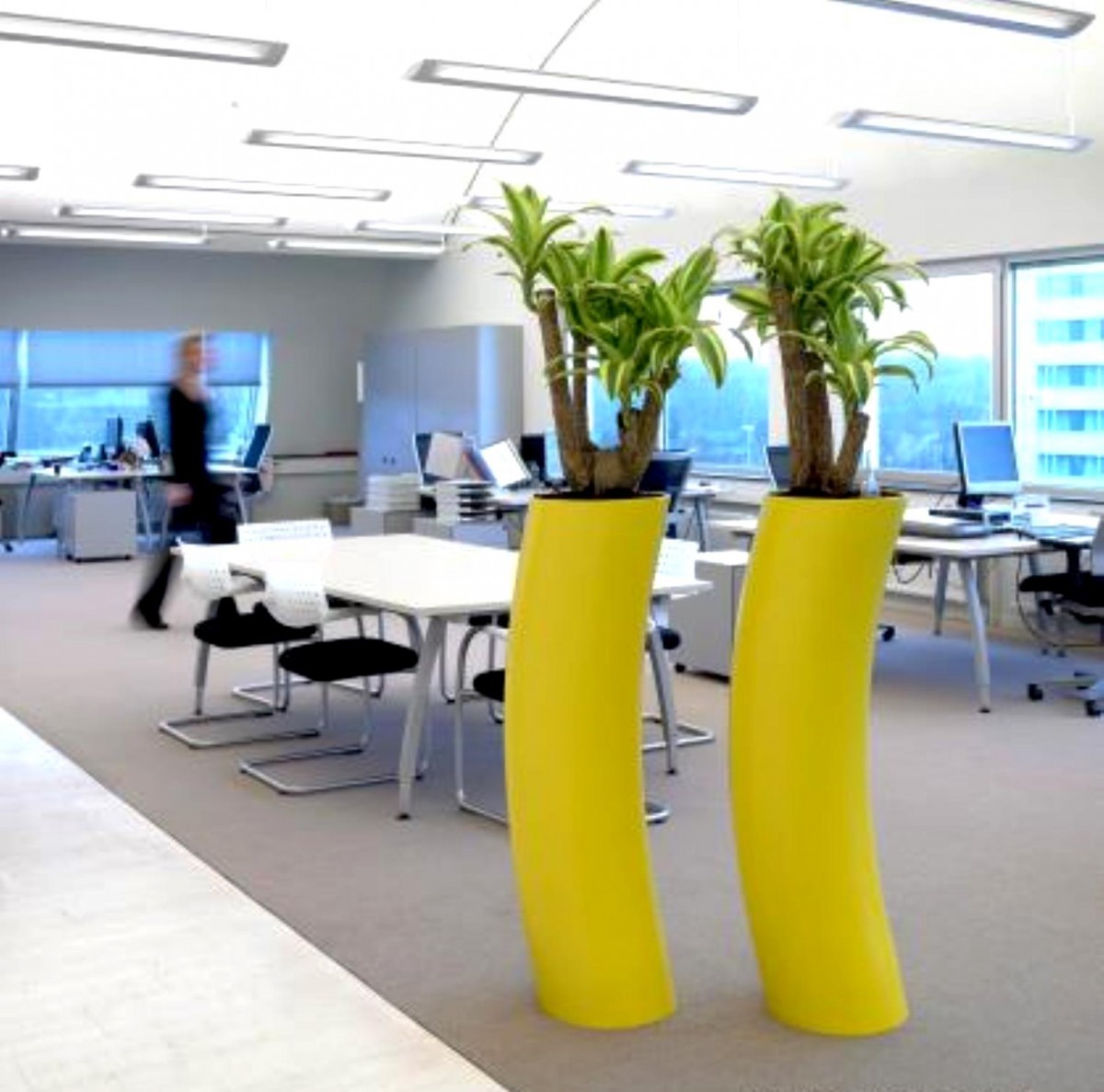 The Power of Plants to Help Boost Office Efficiency