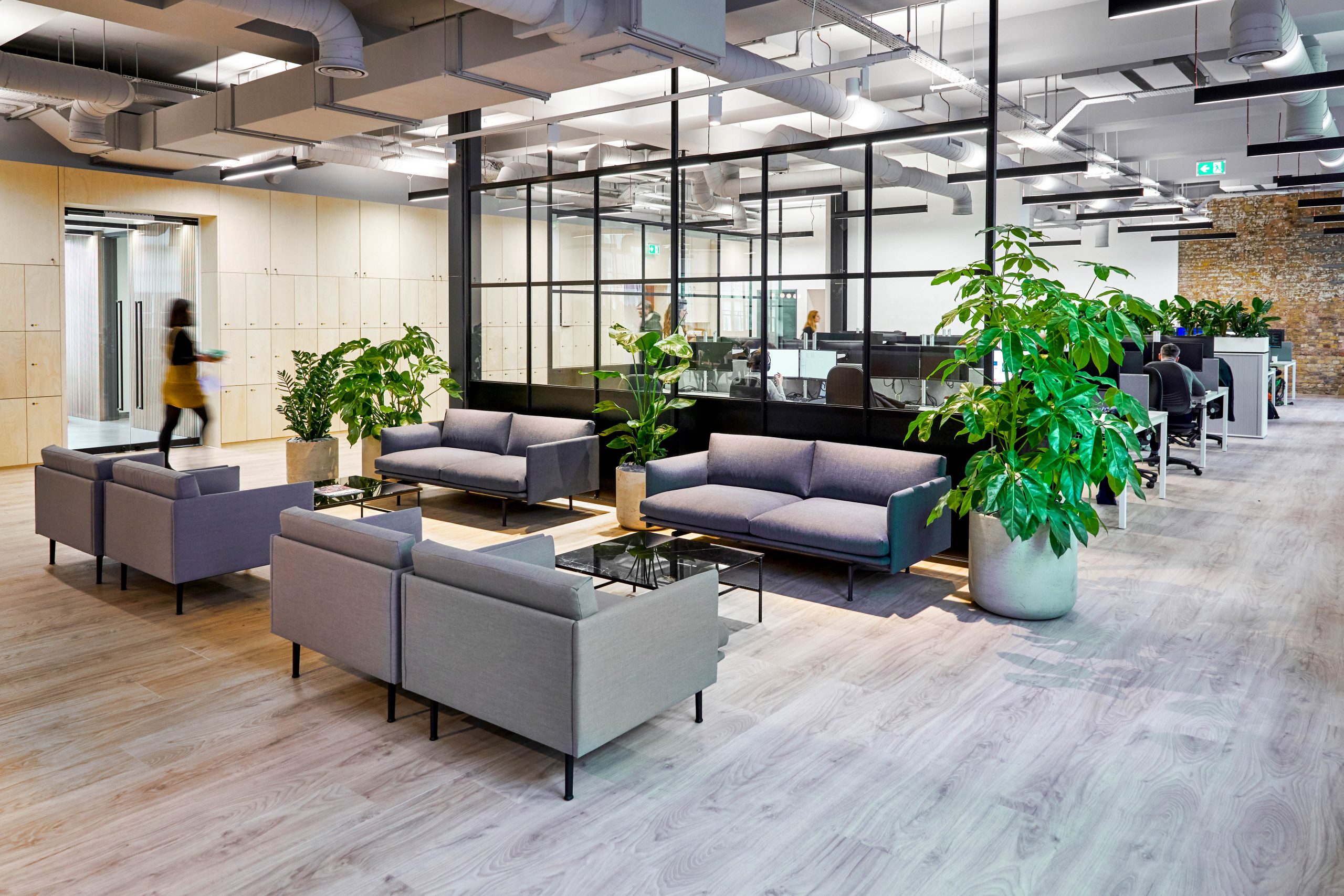 3 Ways You Can Utilise Plants into Your Office Design