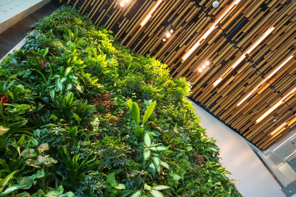 How To Incorporate Plants Into Your Office Interior Design