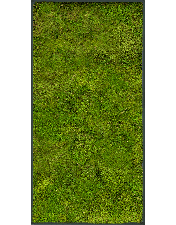 Moss Painting