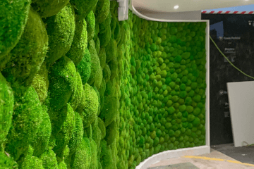 The flexibility of moss walls