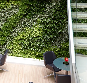 How to Keep Exterior Green Walls Alive in the Winter